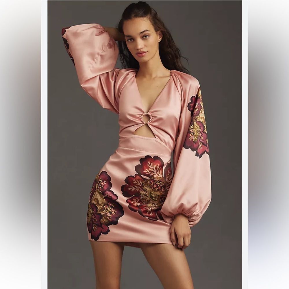Significant Other size 10 $304 Long-Sleeve V-Neck Cutout Printed Mini Dress